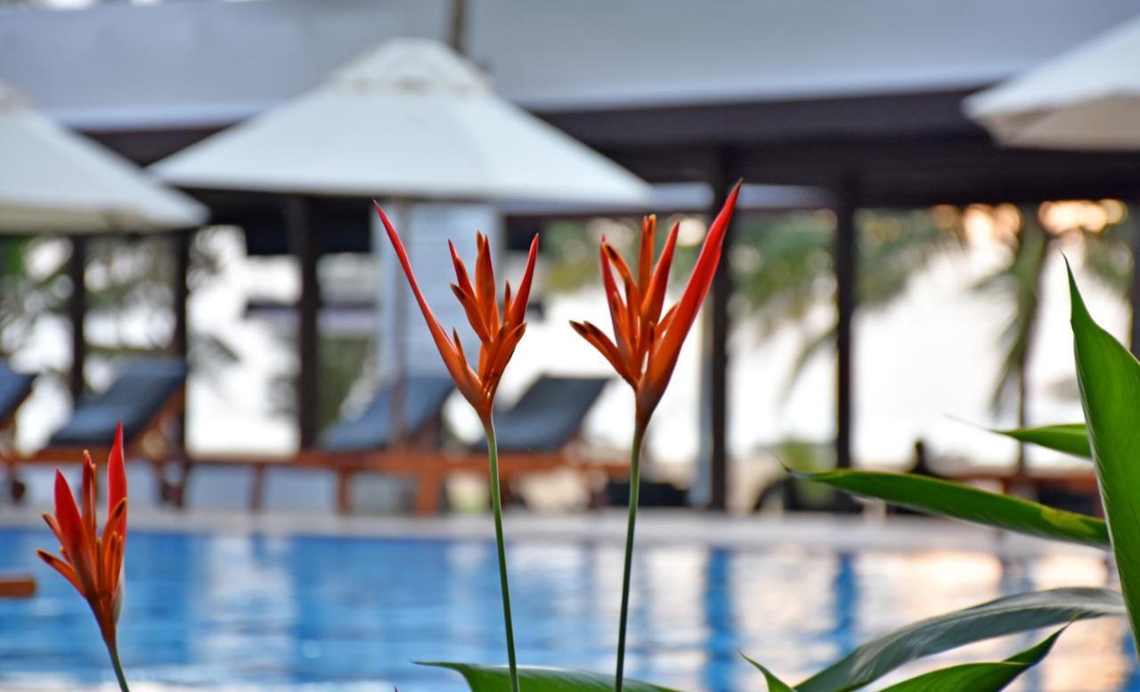 Goldi Sands Hotel Негомбо Екстериор снимка